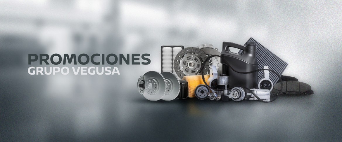 Promociones Vegusa 